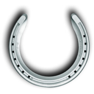 Elite Shoes – clipped